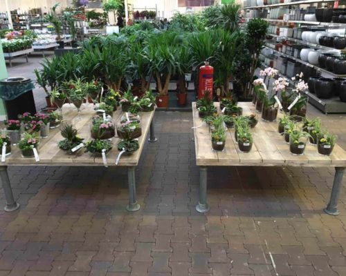 Steigerhouten winkel inrichting Tuinland