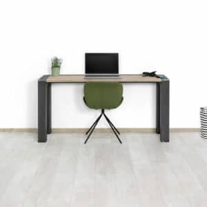 Steigerhouten bureau Woden