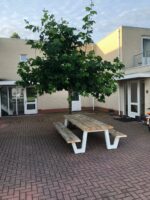 Steigerhouten picknicktafel Watson met stalen frame