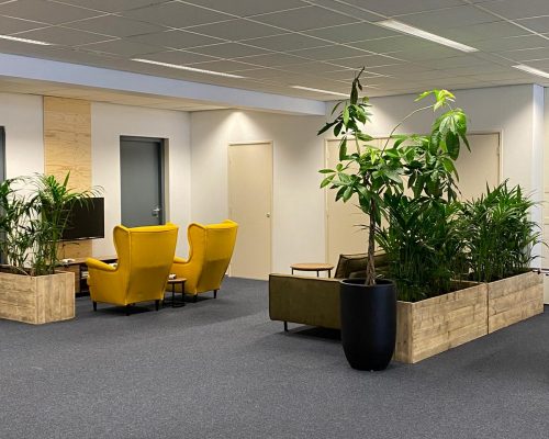 Bloembakken Room dividers van steigerhout Bloembakken Room dividers van steigerhout