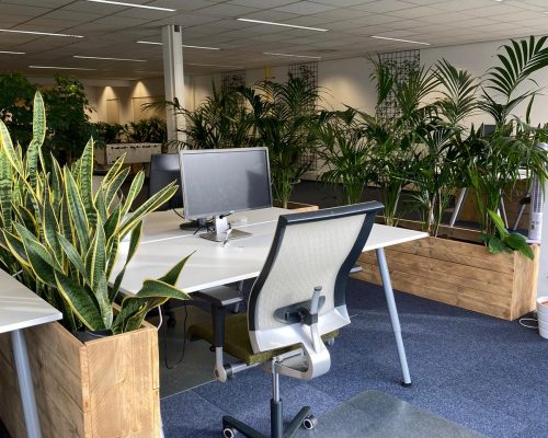 Kantoor inrichting met steigerhouten plantenbakken Kantoor inrichting met steigerhouten plantenbakken
