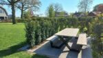 Douglashout picknicktafel Clune met stalen X poten