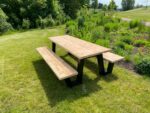 Douglashout picknicktafel Sulon met W frame
