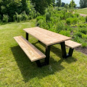 Douglashout picknicktafel Sulon met W frame
