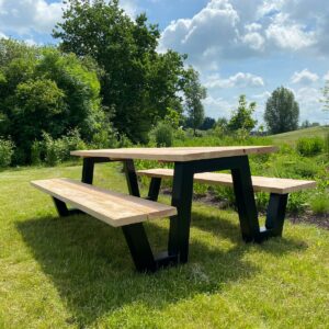 Douglashout picknicktafel Sulon met W frame