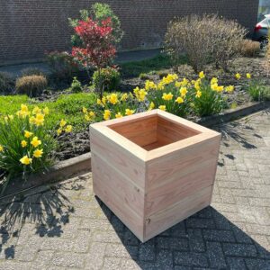 Douglas bloembak Nero