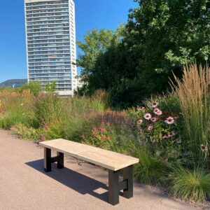 Industrieel bankje Eden douglashout