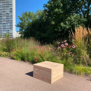 Douglas hocker Selin