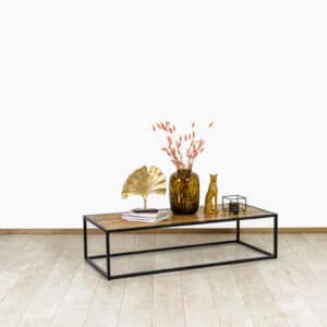 Salontafel Aksel mangohout