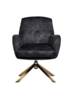 Fauteuil Cleveland grijs/goud polyester
