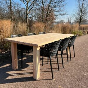 Tuintafel Douglashout Gino met houten N poten