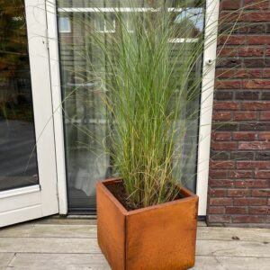 Cortenstalen plantenbak Cinta