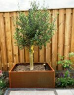 Cortenstalen plantenbak Cinta