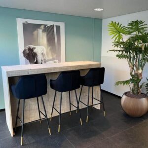 Barmeubel Adette steigerhout