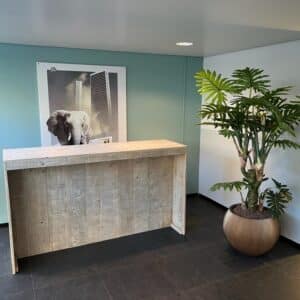 Barmeubel Adette steigerhout