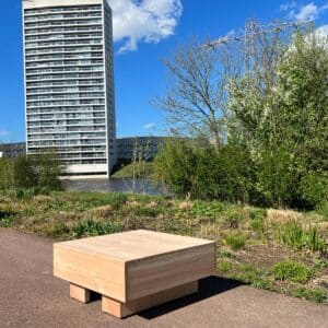 Douglashouten hocker Antwerpen