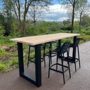 Douglashouten sta/bartafel Carola met stalen U poten