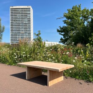 Douglashouten boomstam bankje/salontafel Unie