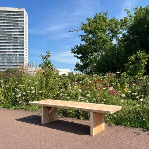Douglashouten boomstam bankje/salontafel Unie